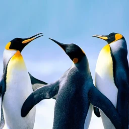 أيقونة The Penguin